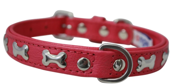 Rotterdam Bones Dog Collar by Angel 14" X 3/4" , Hot Pink