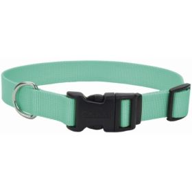 Coastal Pet Teal Nylon Tuff Dog Collar with Plastic Buckle - 8-12"L x 3/8"W